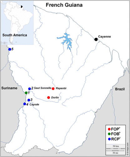 new aspects of the disease"s transmission in french guiana
