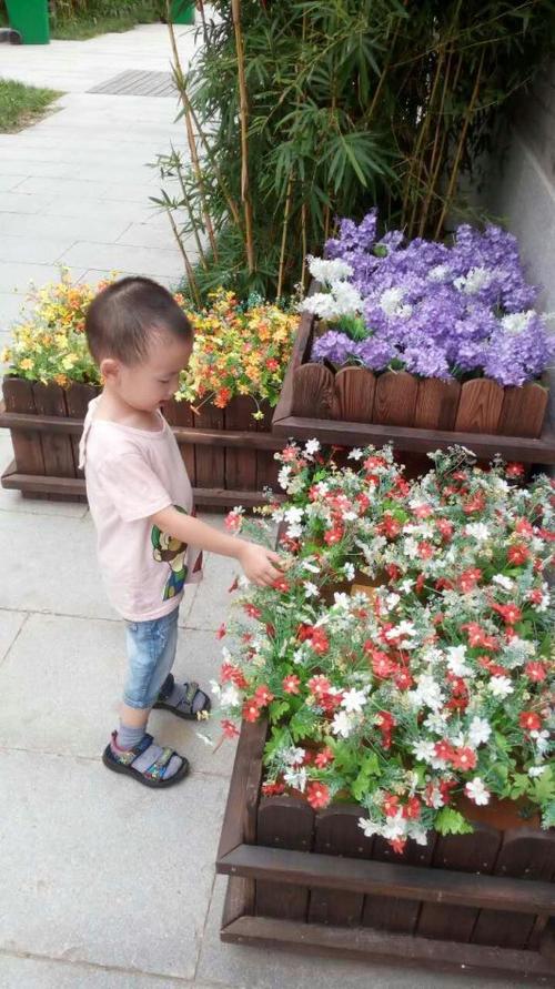 小朋友要爱惜花草啊,我没有去摘它们哦!