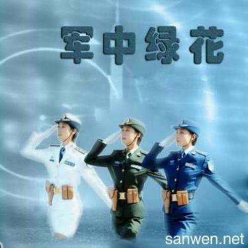 军中绿花【语过添情】