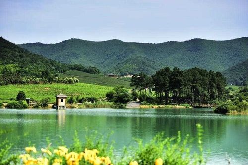 实质化运作国家级旅游度假区——阳羡生态旅游度假区,积极