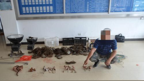 两盏黑色探照灯,一台发电机,一卷电线,报警器装置2个,钢丝捕猎夹2个