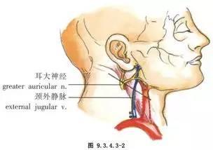 耳大神经受累耳鸣,耳聋,重听等;向耳廓周围放射性疼痛.