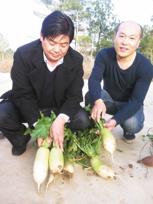 南阳日报多媒体数字报刊平台,南阳日报多媒体数字报刊
