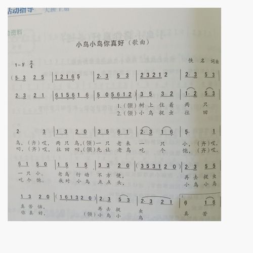 其它 第十五周,大一班幼儿在园生活 艺术领域《小鸟小鸟你真好》 1.
