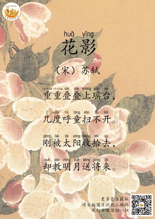 《听刘姥姥讲古诗》-124花影 重重叠叠上瑶台,几度呼童扫不开