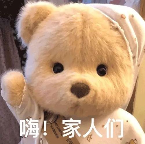 表情包玩偶小熊表情包