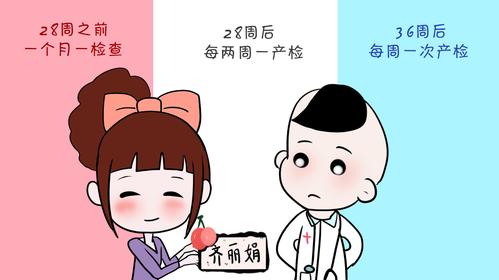 胎儿监护; 39周第八次检查:产科检查,尿常规,胎心多普勒听诊,b超; 40