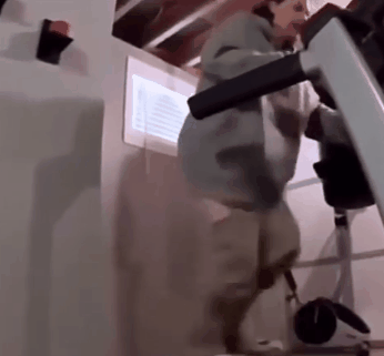 搞笑gif这公交车广告有点东西啊司机能下来给大家解释一下吗