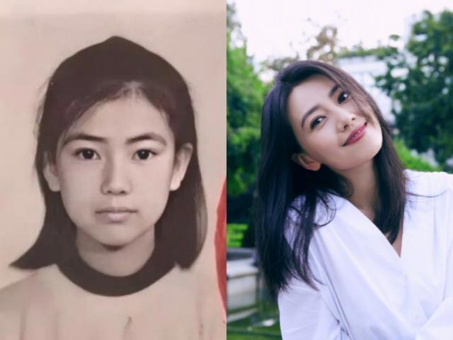 高圆圆儿时证件照曝光,浓眉大眼鼻梁高挺,精致五官和现在一个样