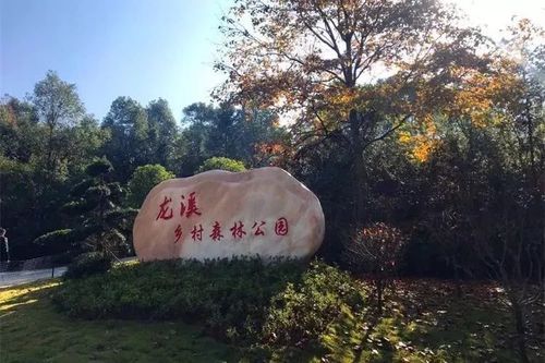 龙溪乡村森林公园
