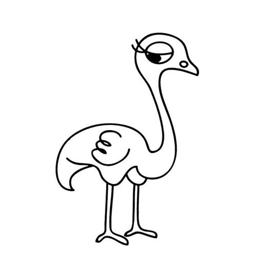 鸵鸟简笔画