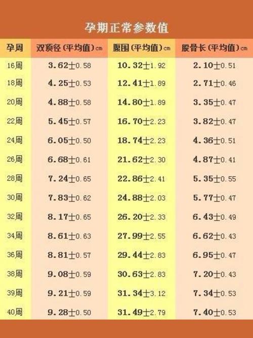 手把手教你看懂孕检b超单|术语大揭秘