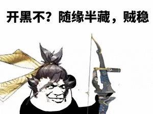 开黑不_随缘半藏,贼稳