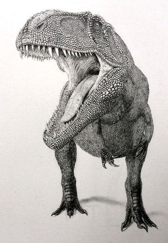 南方巨兽龙的素描