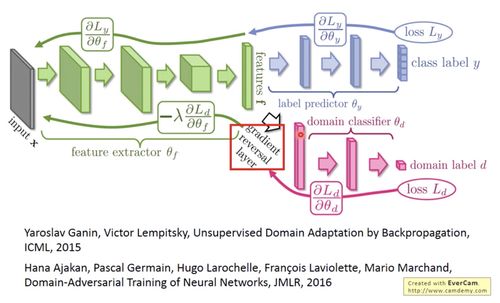 transfer learning