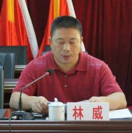 (儋州市南丰镇镇委书记)
