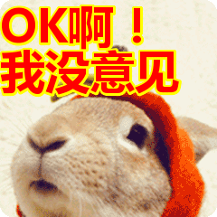 我没意见表情包