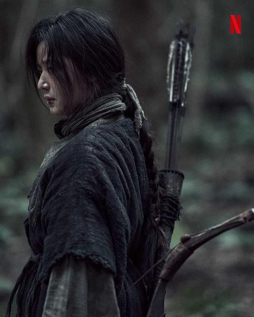 王国:北方的阿信 剧照