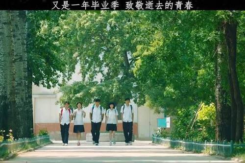 致我们终将逝去的青春校园爱情奔向光我的少年迎风而上