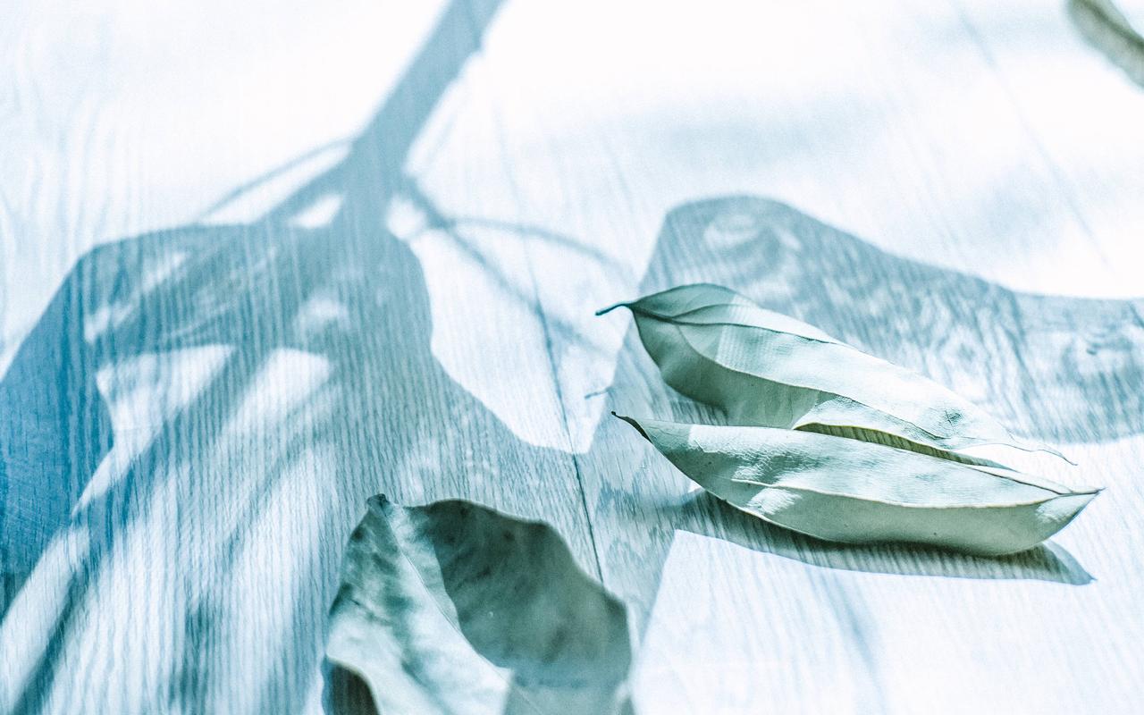 极简白色小清新静物唯美高清壁纸