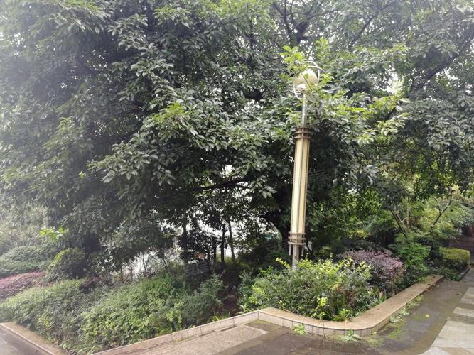 仁和半岛,仁和路中段-自贡仁和半岛二手房,租房,房价
