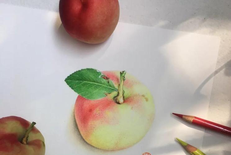 彩铅水果教程步骤图片|彩铅水果步骤绘画(附彩铅全套视频教程)