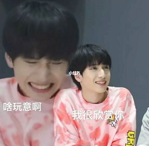 翔哥表情包_严浩翔_表情包_素材_表情包