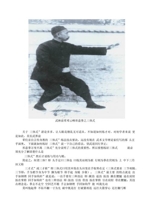 武林前辈邓云峰形意拳之三体式.docx 2页