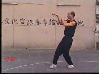 佛山张保咏春-寻桥