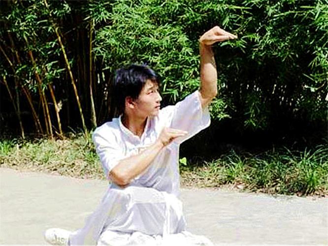 030中国拳术和拳术名家小传蛇拳中国象形拳拳术之一