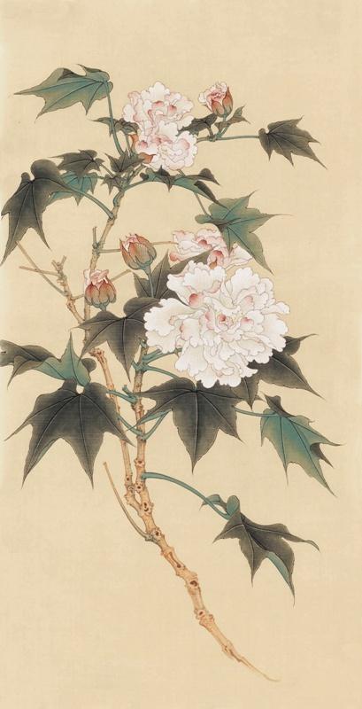 工笔画底稿俞致贞芙蓉花3#白描打印稿毛笔勾线宣纸稿本店拷贝