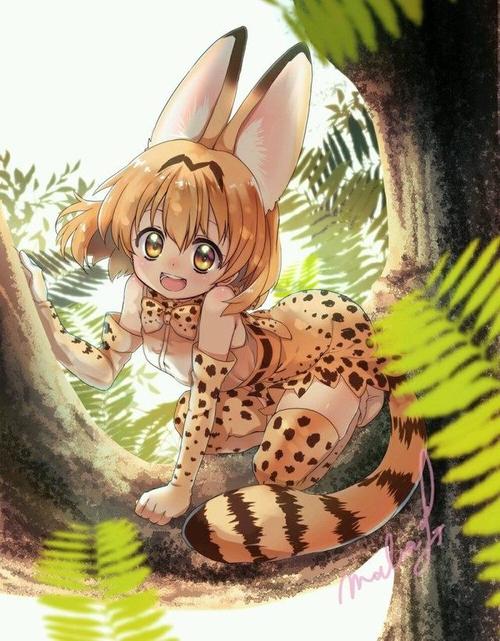 但,时间流逝……有一天,动物园里出现了一个看上去很困扰的迷路孩子.