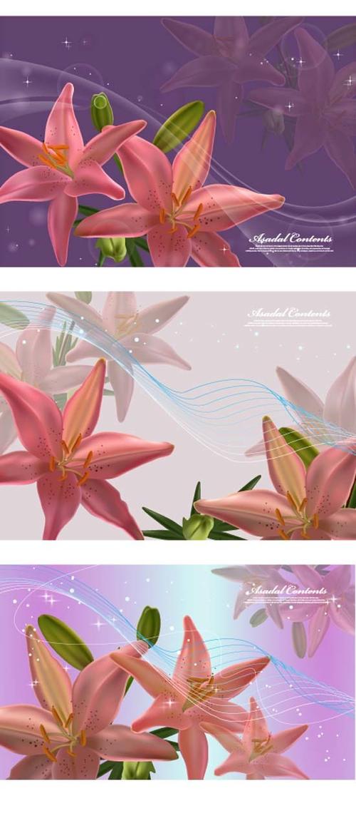 百合花主题背景