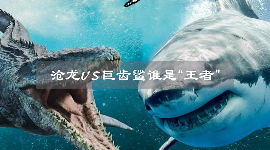史前海洋可怕生物巨齿鲨和沧龙若正面交锋谁是最后的王者