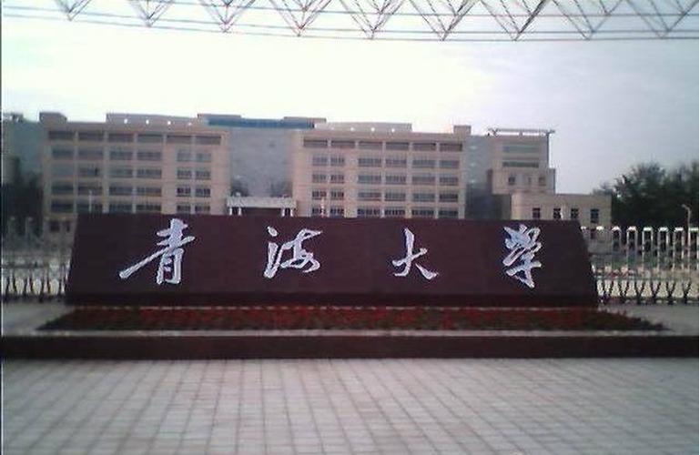 青海大学 西宁市 本科/专科 211 综合院校 薪酬超过68%的学校 进入