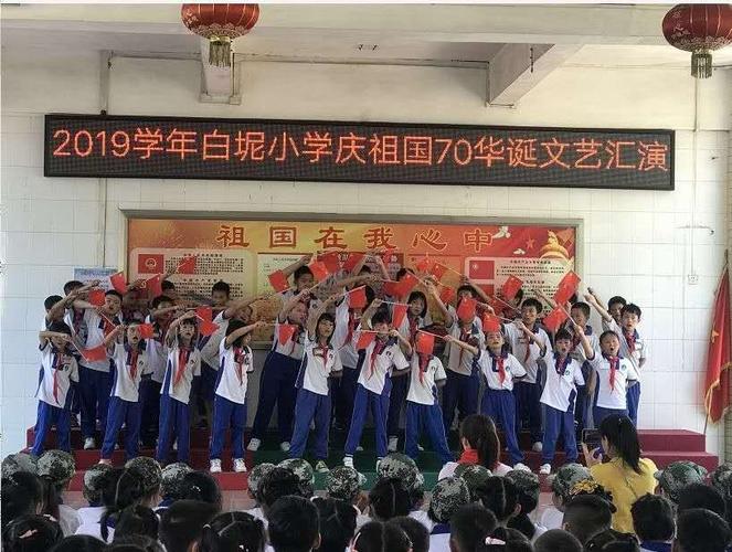 2019学年第一学期白坭小学少先队工作总结