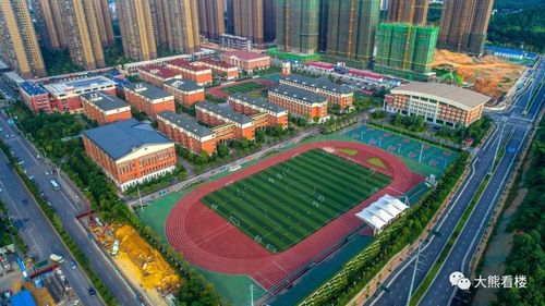 姚明来金星北,直奔长郡月亮岛学校!