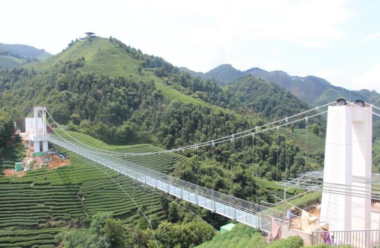 昭平县旅游发展局曾繁奕局长向龙万洲会长介绍南山茶海总体布局