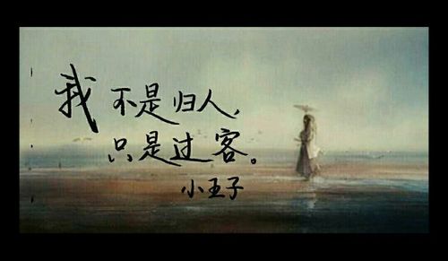 【书写人生手写团】第452天:我不是归人,只是过客,2016.10.17作业集