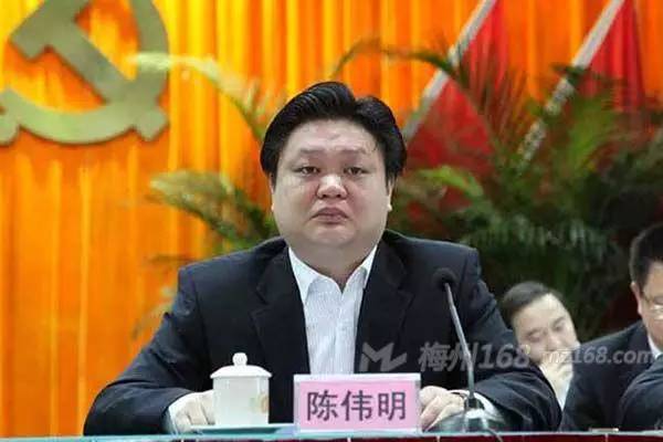 宋才华任平远县委书记,陈伟明任蕉岭县委书记