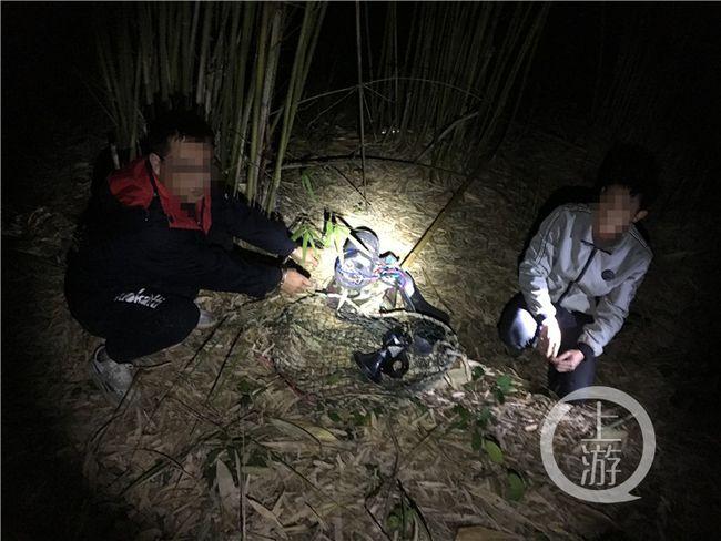 馋嘴男子非法捕获野鸡被抓现行