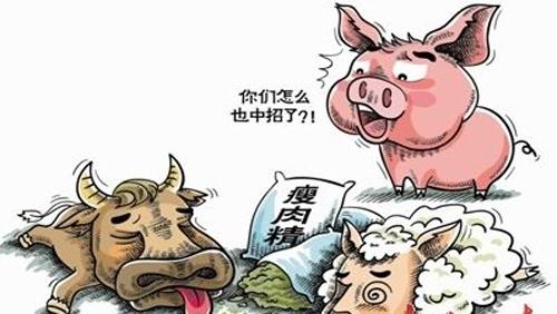 牛饲料中添加"瘦肉精" 天津老妪获罪
