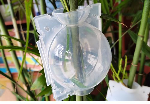植物高压繁殖盒扦插嫁接生根盒园林树木高空压枝生根繁殖器繁殖球