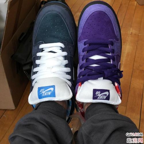 欧文上脚的nike sb dunk low联名concepts紫龙虾发售信息 nike sb