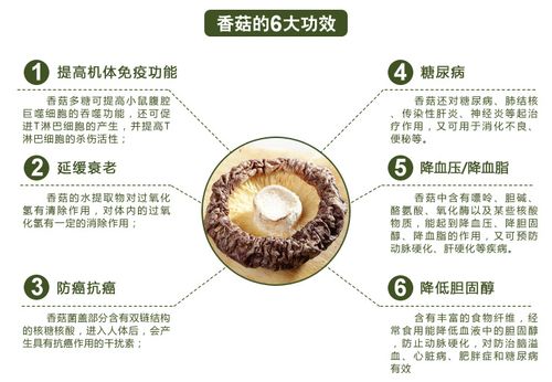 农家精选食用菌香菇干货批发野生香菇食用优质干香菇250g