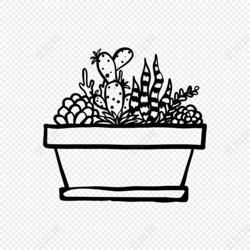 花盆树木简笔画