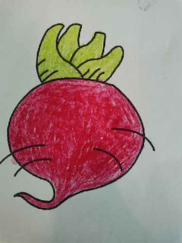龙湖幼儿园小一班绘画《萝卜》