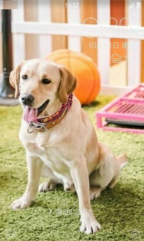 神犬小七壁纸锁屏 v1.2.