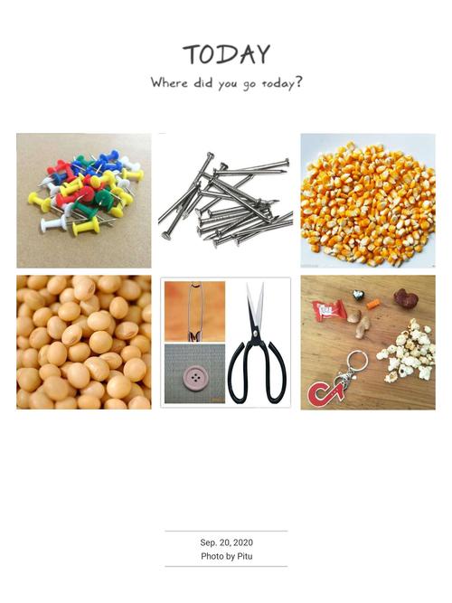 【棵棵树幼儿园】中二班安全教育《危险物品我不带》