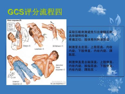格拉斯哥昏迷评分课件
